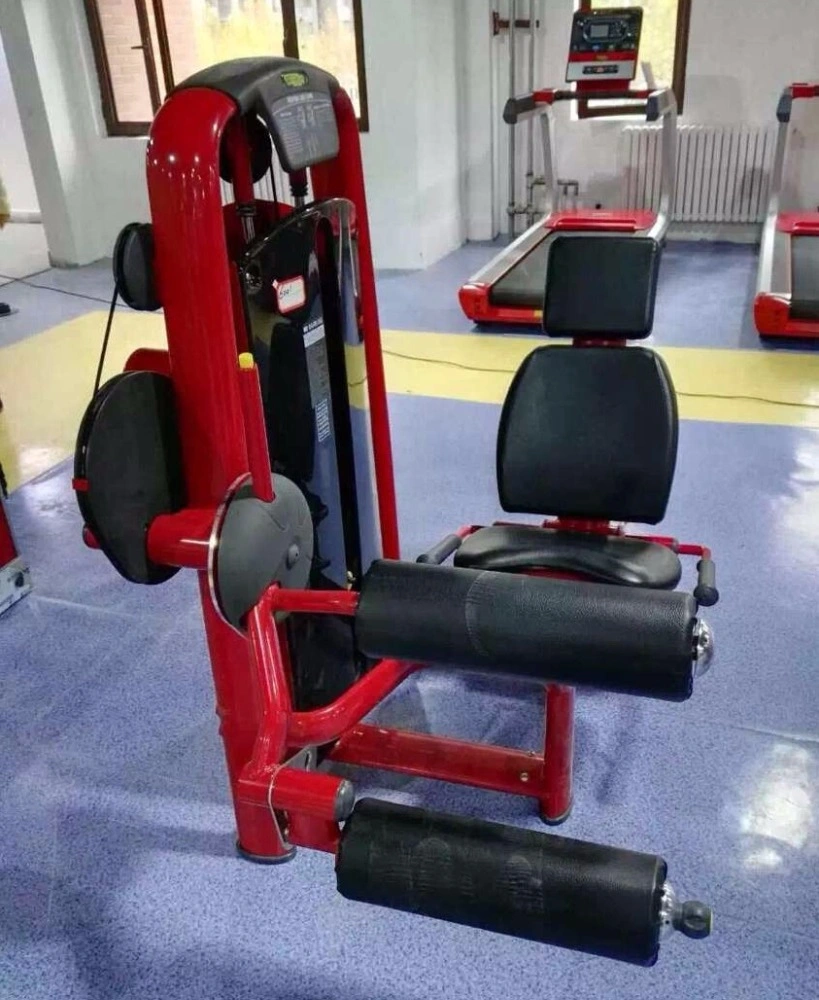 High-Grade Customization Commercial Gym Equipment Seated Leg Curl Strength Trainer