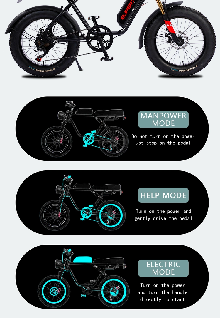 48V 750W 20 Inch 4.0 Fat Tyre Fat Tire Moped Ebike with Pedal Snow Beach Electric Bicycle Bike