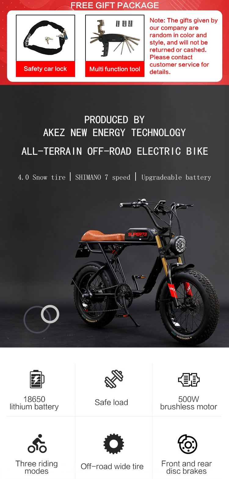 48V 750W 20 Inch 4.0 Fat Tyre Fat Tire Moped Ebike with Pedal Snow Beach Electric Bicycle Bike