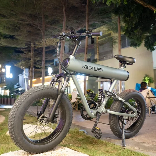 성인을 위한 뜨거운 판매 E-자전거 페달 전기 자전거 이동성 Ebike