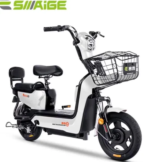 48V20ah 납축 배터리 또는 리튬 배터리, 페달 보조 장치, 500W, 대용량, 35km/h 최고 속도, EEC Coc Cee 인증을 받은 전기 자전거